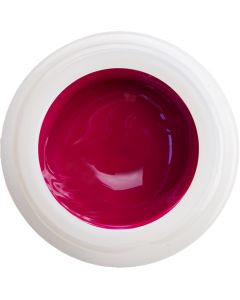 fuchsia dark cream