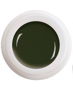 Colour Gel - Dark Night Olive  N°326