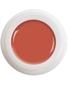 Colour Gel - Hazel  N°331