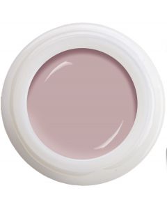 Colour Gel - Perfect Pale N° 471