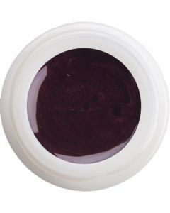 Weihnachtsfarbe Stella
