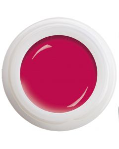 Colour Gel - Salvador  N° 490