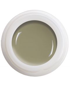 Colour Gel - Olive Grey  N° 520