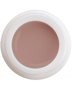 Colour Gel - Rose Teint N°588