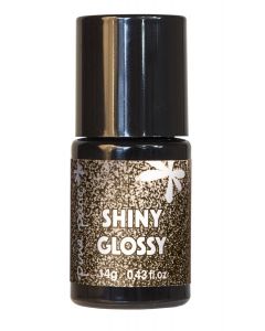 Shiny Glossy Champagne