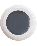 Colour Gel - Platinum N°166